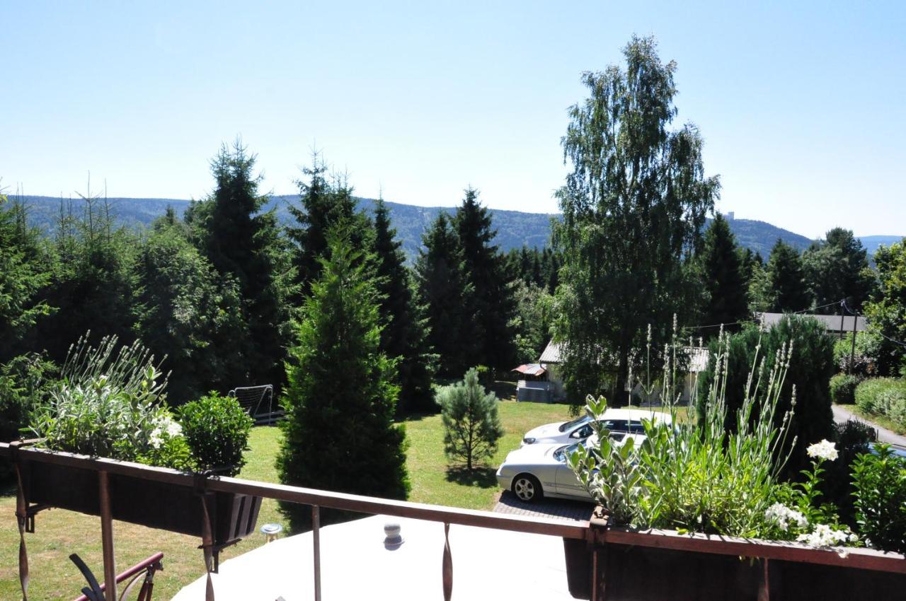 Finnhuette Im Herzen Des Thueringer Wald/ Haus Alwin Holiday home